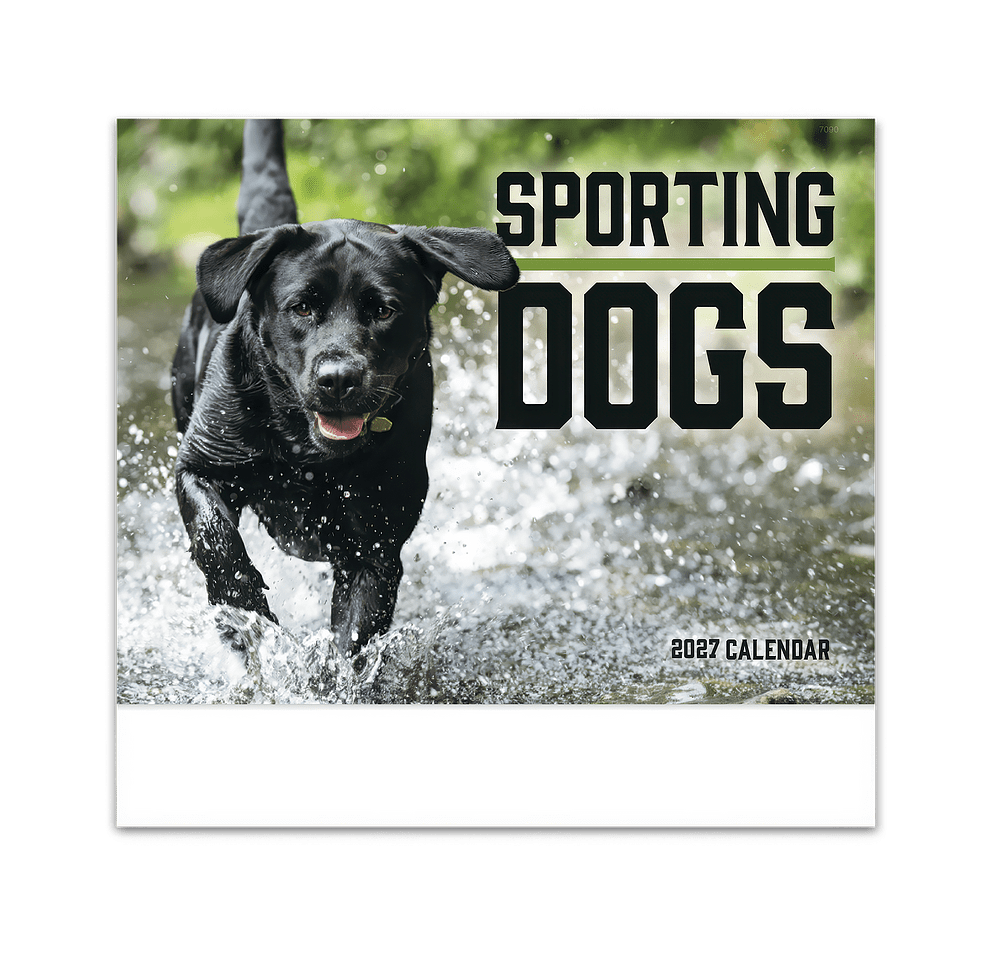 Sporting Dogs Stapled Wall Calendar-default