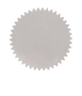 Embossed 1.5 in. Star Roll Labels (500 per roll) - Color: Silver