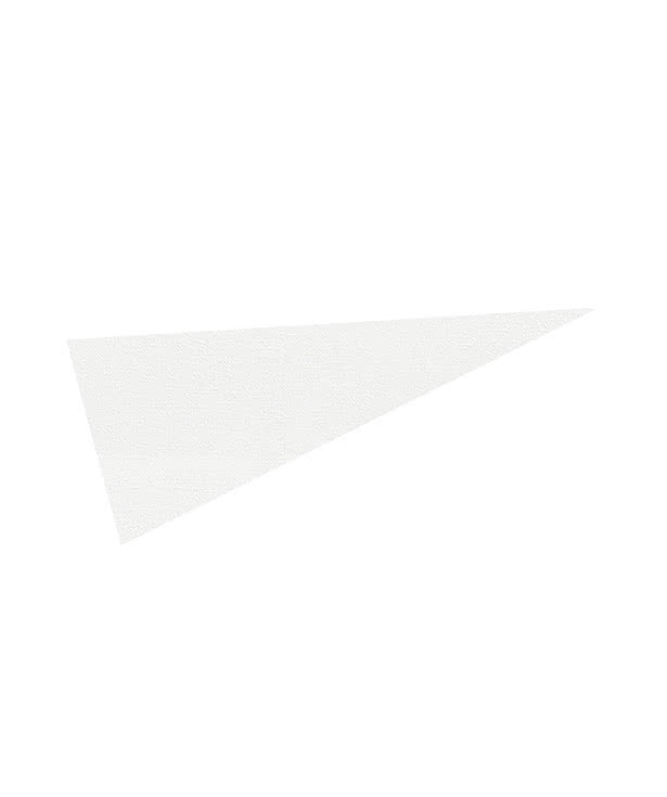 Full Color 4" x 10" Pennant