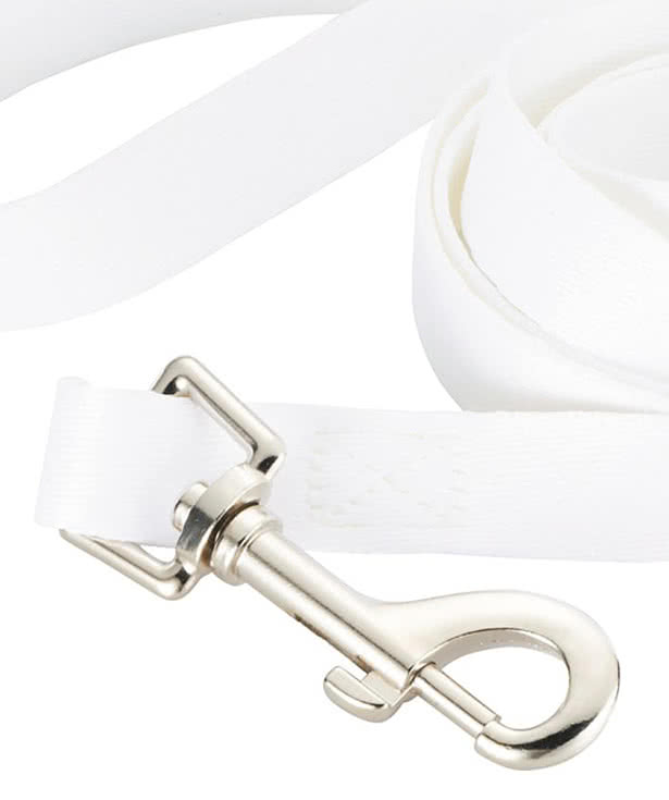 Full Color 5 ft. Premium Pet Leash, 3/4" Wide