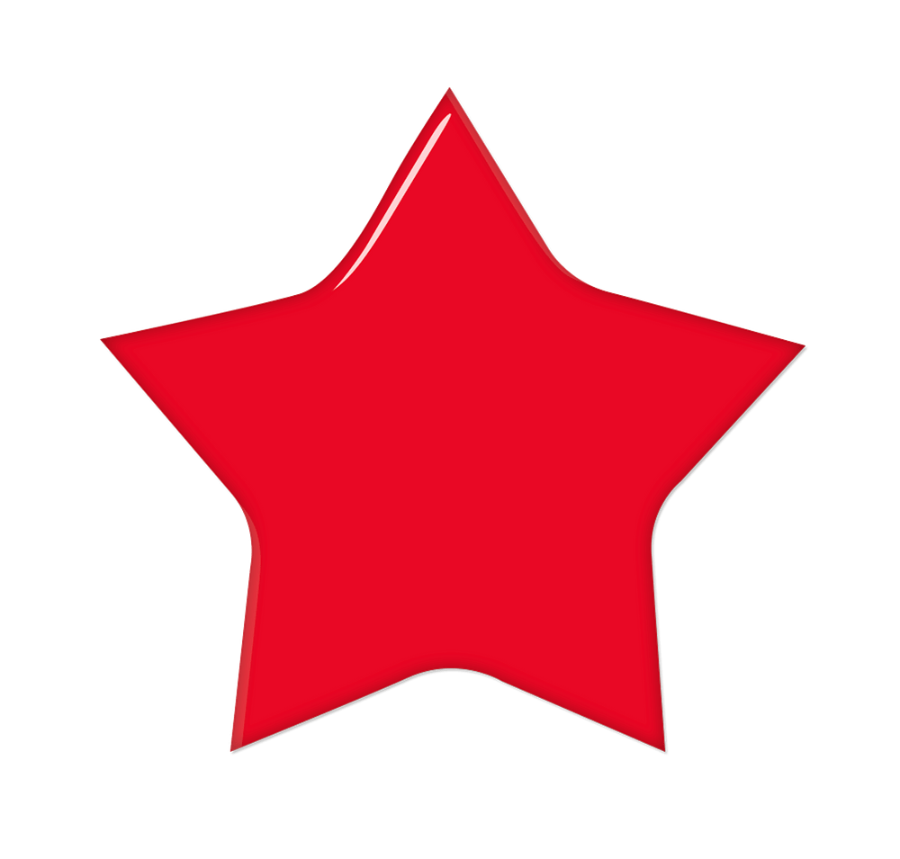 Full Color Star Laminated Plastic Lapel Pin-default