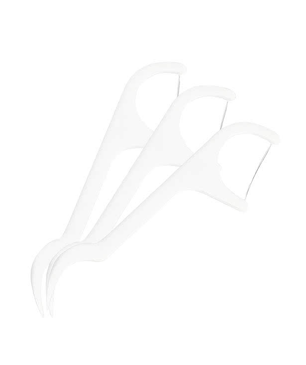 10-Piece Flosser Pick Dental Kit