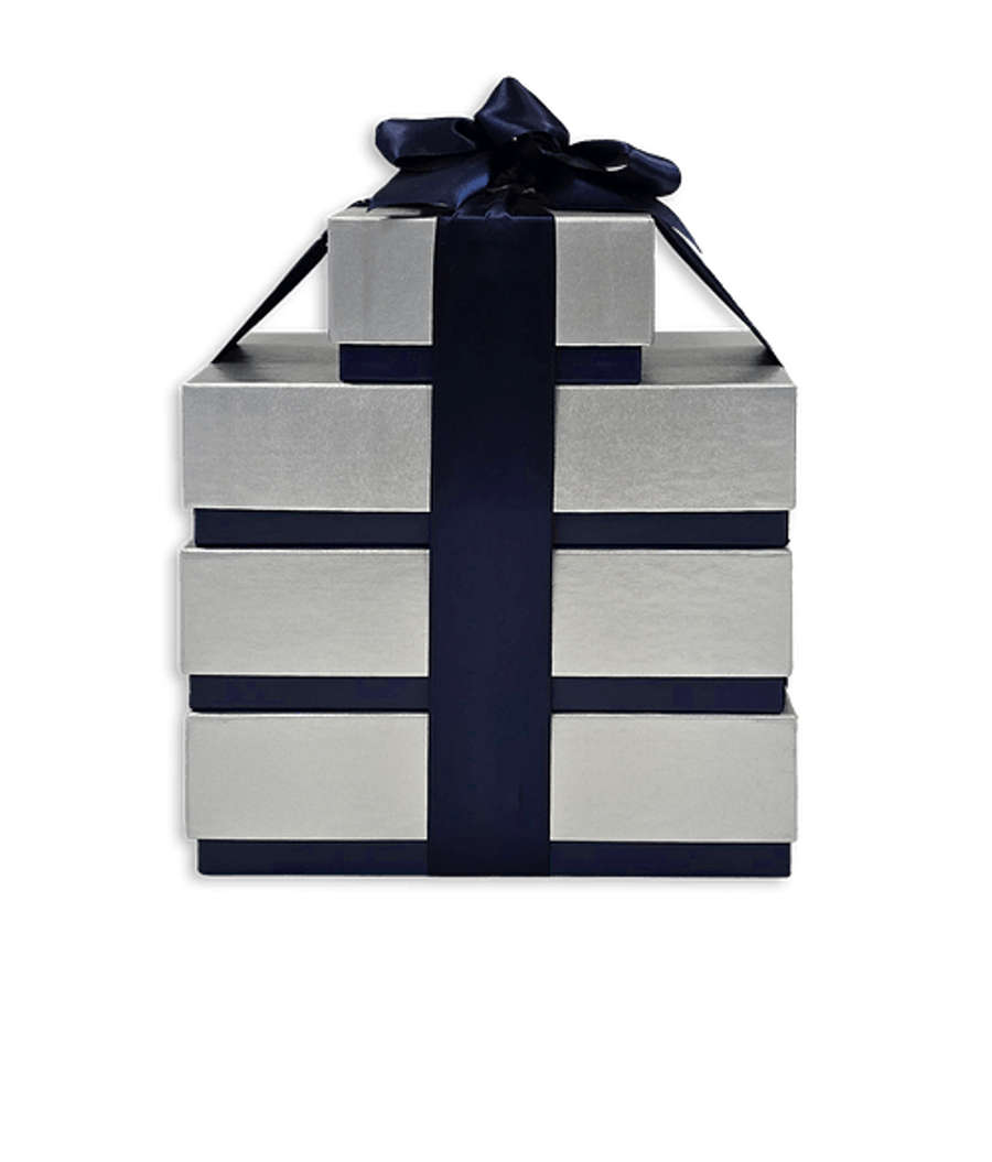 Maple Ridge Farms Silver & Navy Tower of Treats Gift Set in Navy