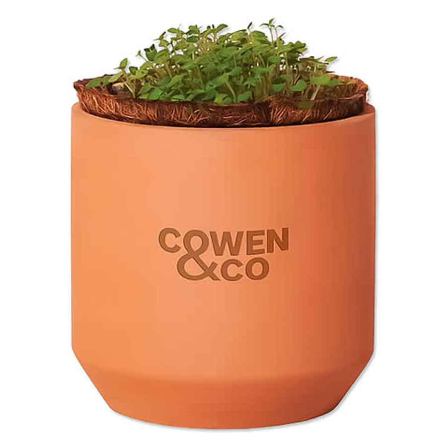 Laser Engraved Modern Sprout Tiny Terracotta Champagne Poppies Grow Kit in Champagne Poppies Terracotta