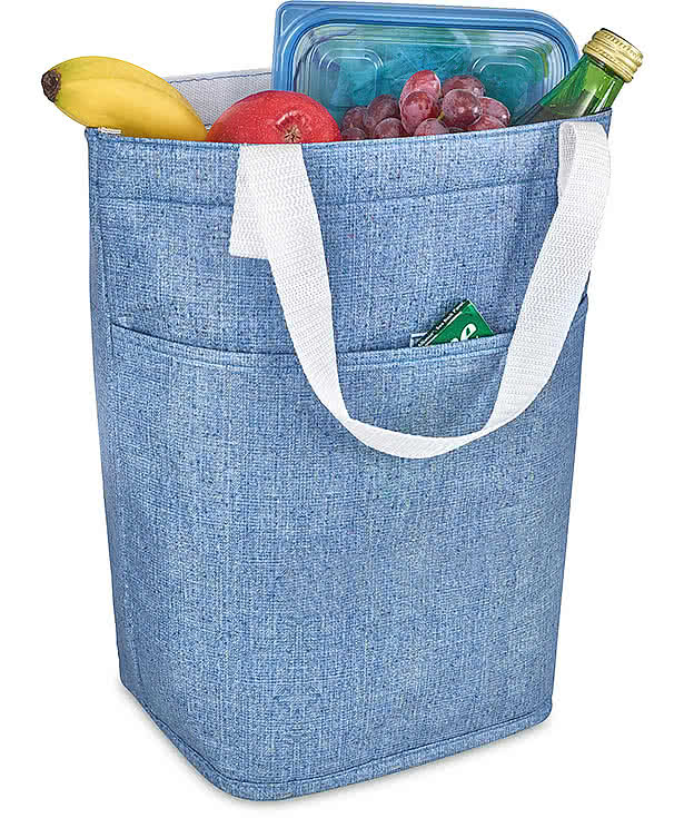 Sami Mini 10 Can Cooler Tote Bag