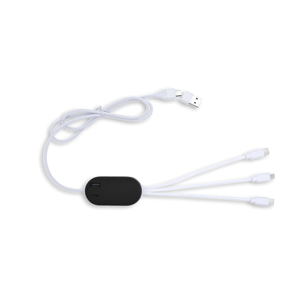 DualLink Charging Cable 2A with USB Hub-default