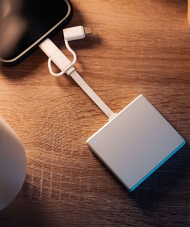 Full Color Flamingo 3,000 mAh 3-in-1 Power Bank