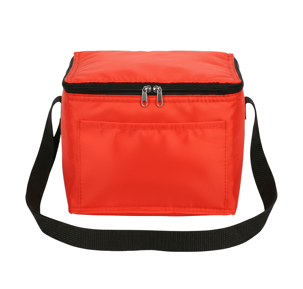 Snow Roller 6 Can Cooler Bag-default