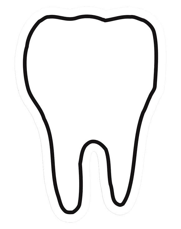 Tooth Magnet