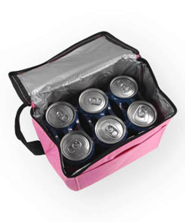 Basic Lunch Cooler