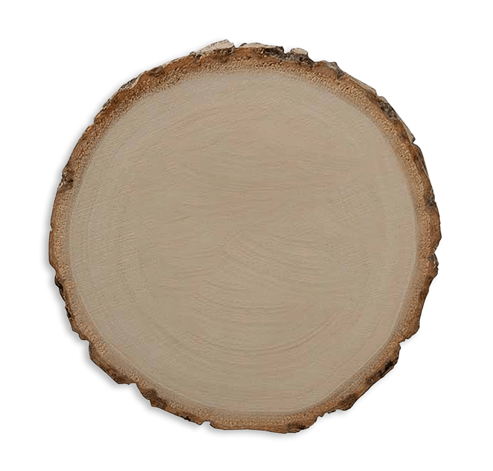 Woodlands Natural Poplar Coasters (Set of 4)-default