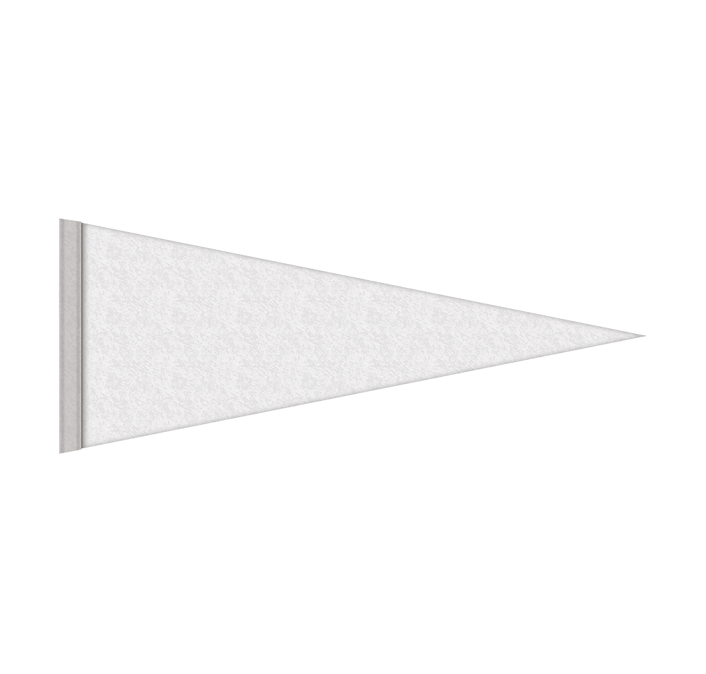 Full Color 4" x 10" Rigid Felt Pennant-default