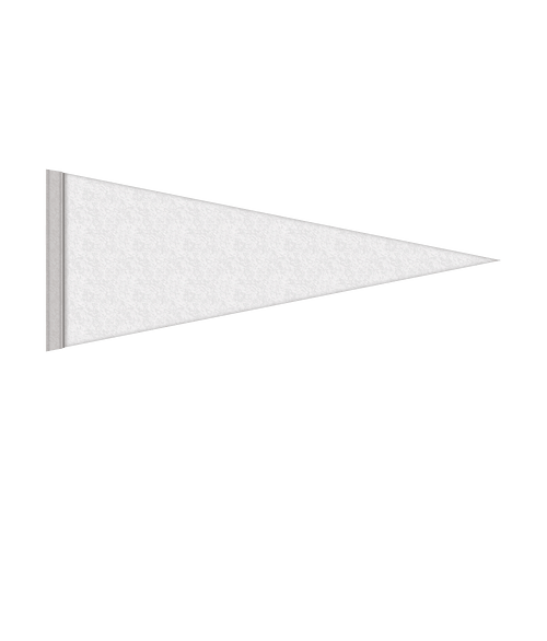 Full Color 4" x 10" Rigid Felt Pennant in White