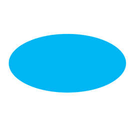 Full Color 1 in. x 2 in. Oval Roll Labels (500 per roll) - Color: Columbia Blue