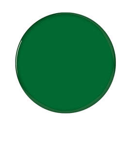Full Color 1" Round Laminated Plastic Lapel Pin - Color: Kelly Green
