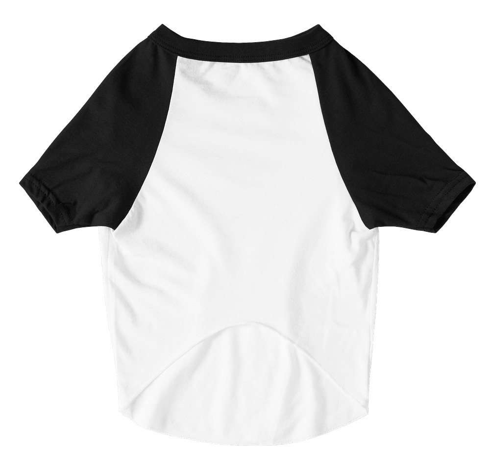 American Apparel Dog Raglan T-shirt-default