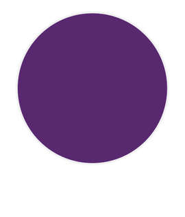Full Color 2 in. Outdoor Circle Roll Labels (500 per roll) - Color: Team Purple