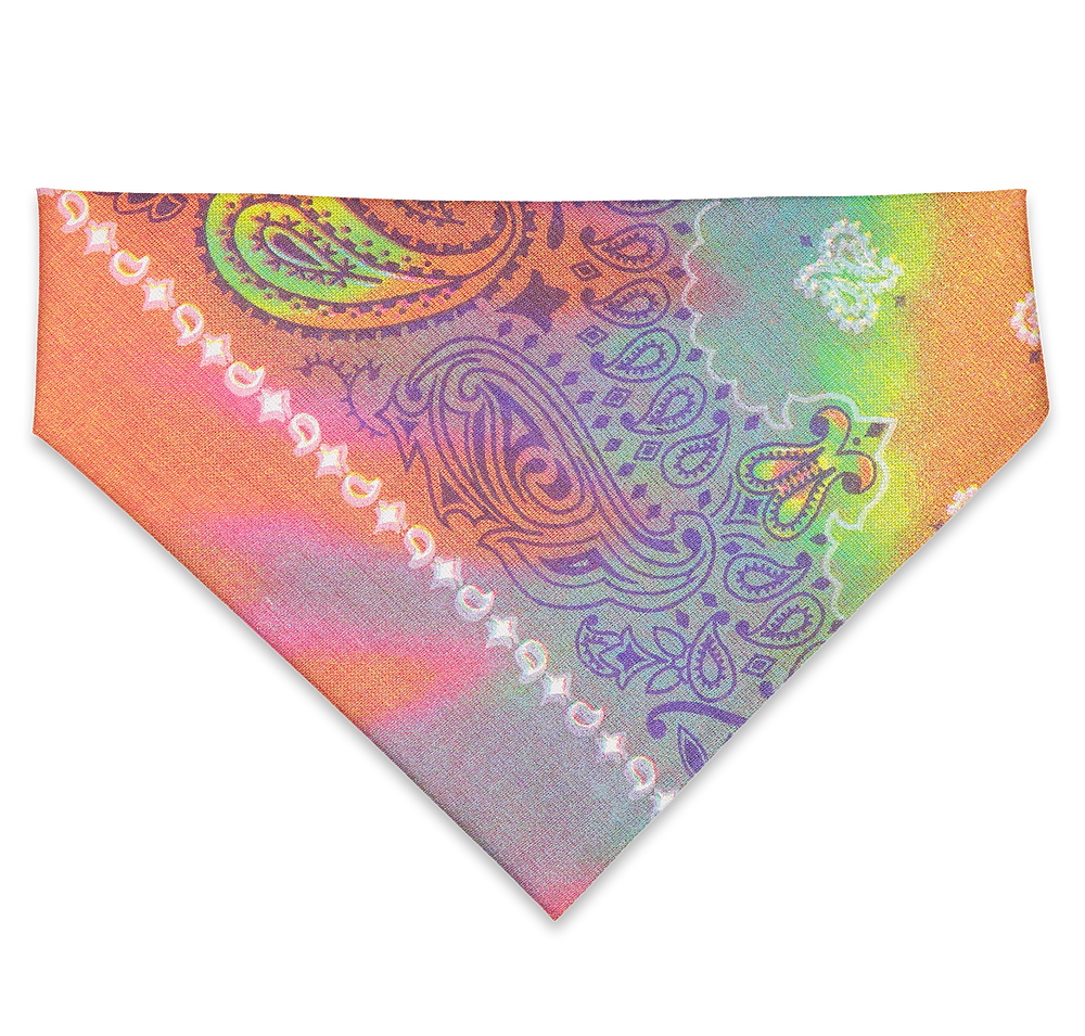 Doggie Skins USA-Made 100% Cotton Pet Bandana (Corner Design)-default
