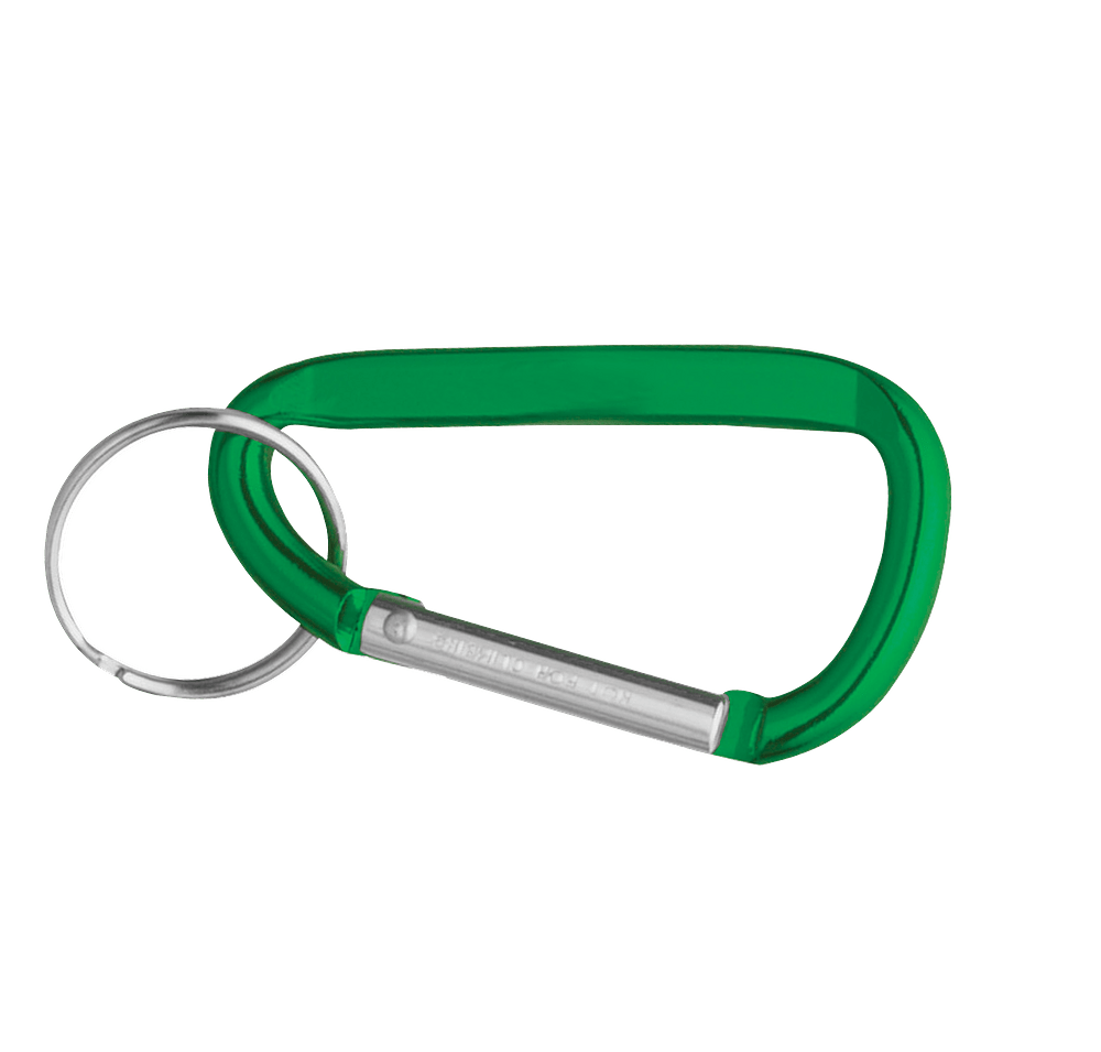 Laser Engraved Small Carabiner Keychain-default