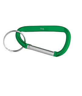 Laser Engraved Small Carabiner Keychain - Color: Green