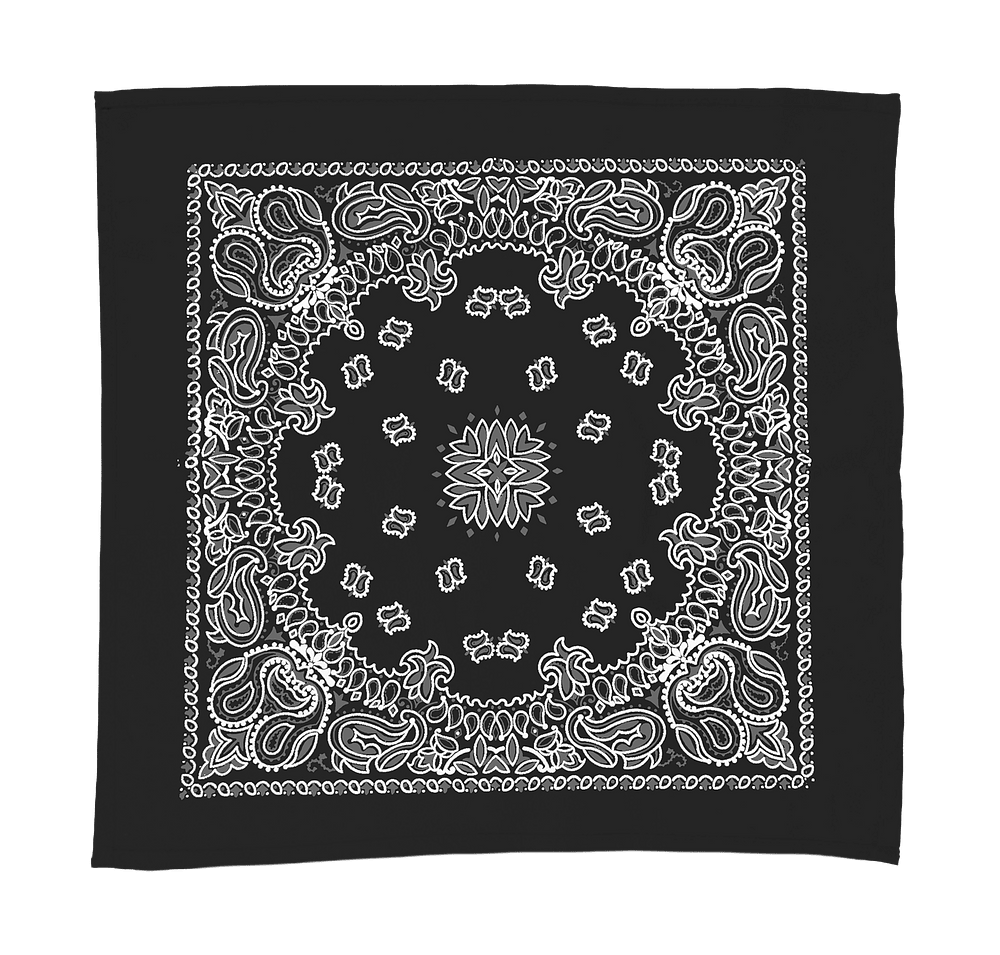 22" Bandana with Paisley Pattern-default
