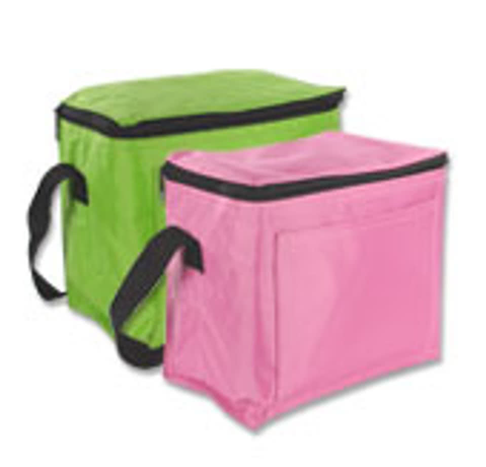 Basic Lunch Cooler
