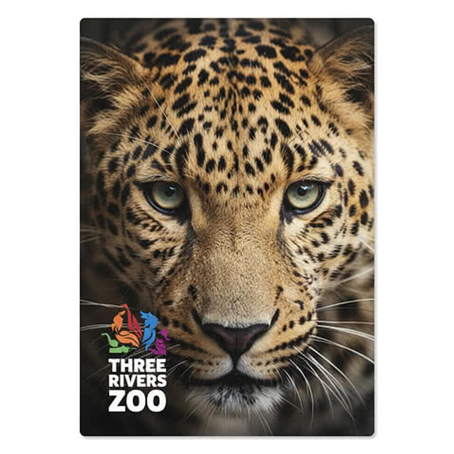 Full Color 5" x 7" Glossy Aluminum Wall Print with Shadow Mount in White