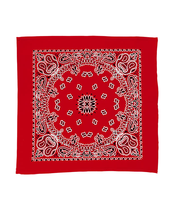 22" Bandana with Paisley Pattern