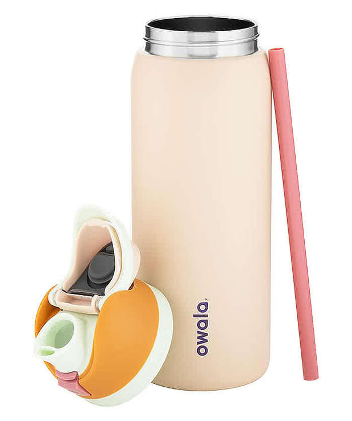 Owala 32 oz. Freesip Stainless Steel Water Bottle 