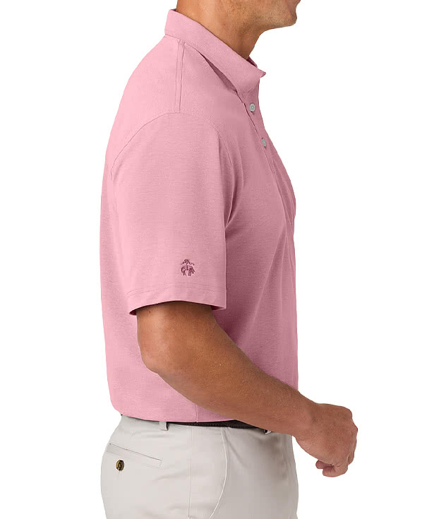 Brooks Brothers Pinpoint Pique Performance Dress Polo - Embroidered