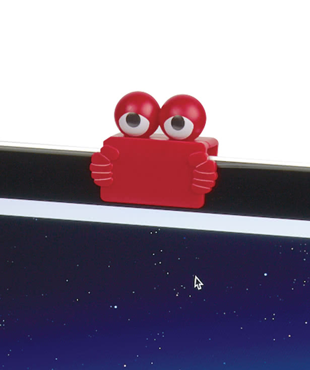 Privacy Guy Webcam Cover