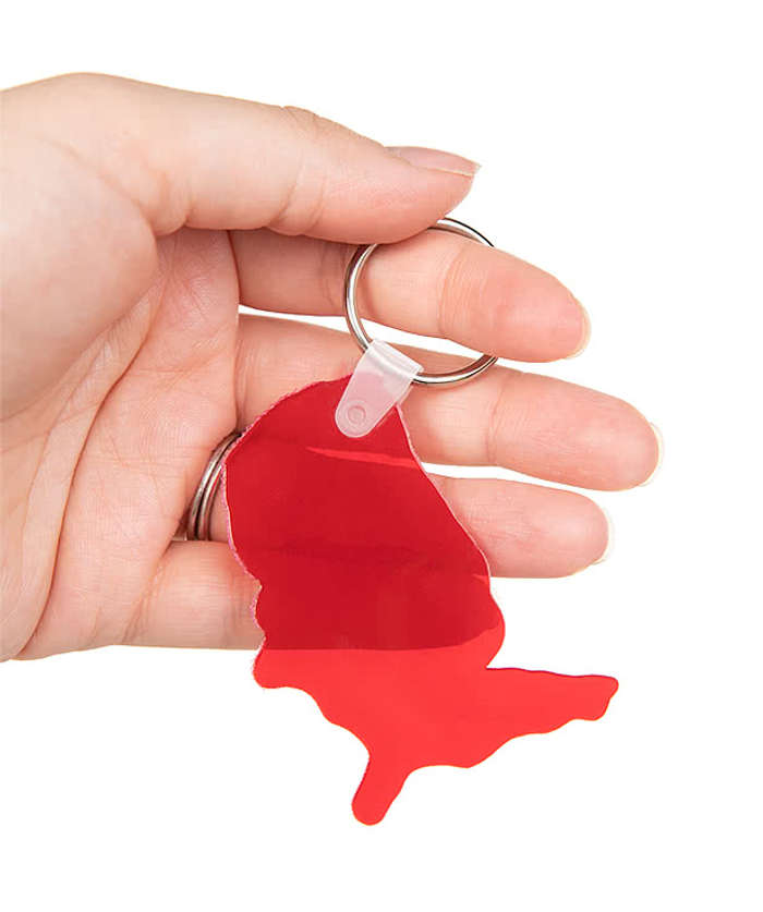 USA Shaped Keychain