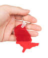 USA Shaped Keychain