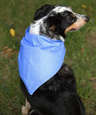 Augusta 100% Cotton Solid Bandana (Centered Design)