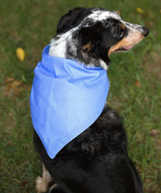 Solid store dog bandanas