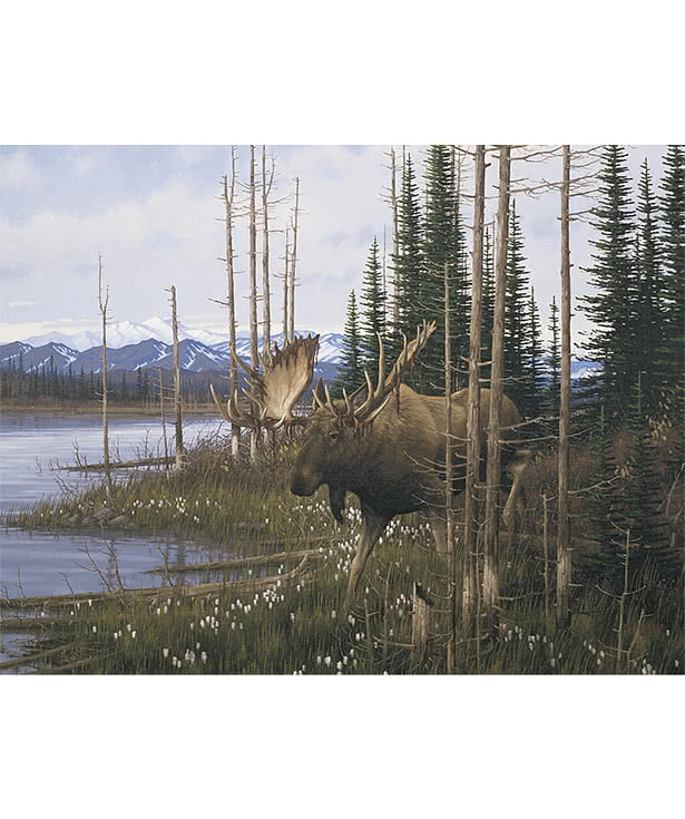 Wildlife Art Calendar