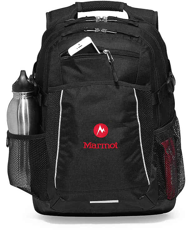 Pioneer 15" Computer Backpack
