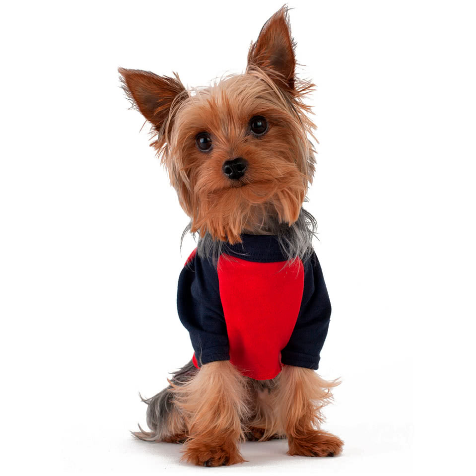 American Apparel Dog Raglan T-shirt