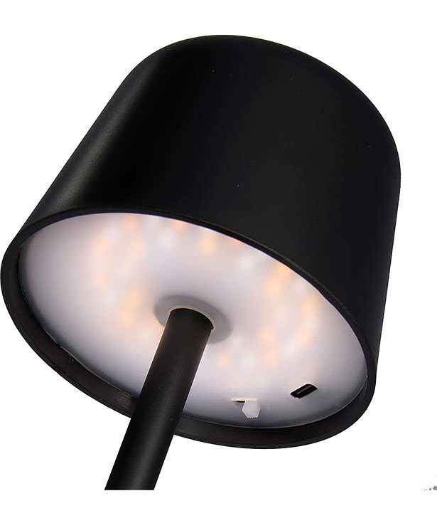 Recycled Mini Rechargeable Desk Lamp