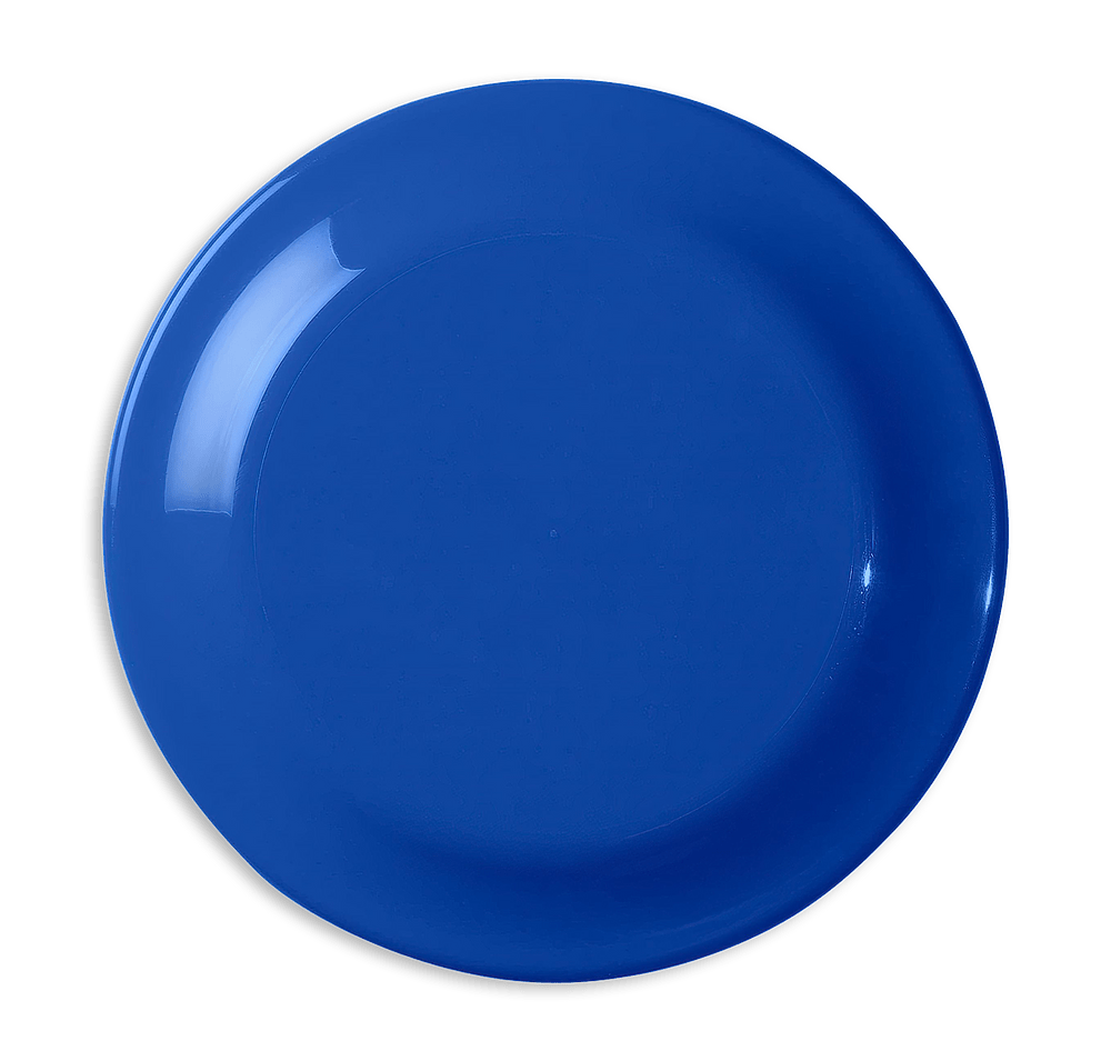 Small Fun Flying Disc-default
