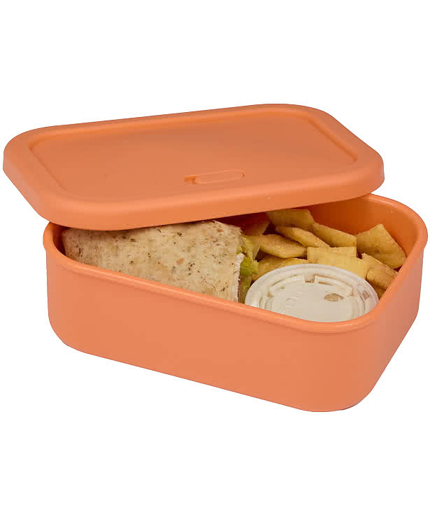 24 oz. Silicone Food Storage Box with Air Valve