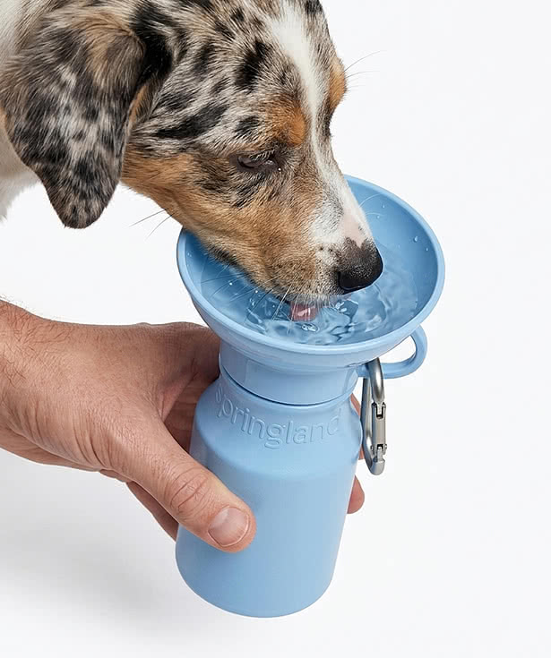 Springland Pet 15 oz. Squeeze Travel Water Bottle