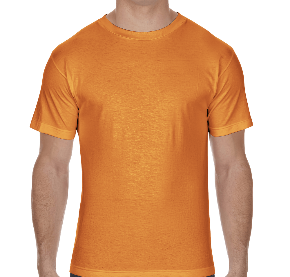 American Apparel Heavyweight Cotton T-shirt-default