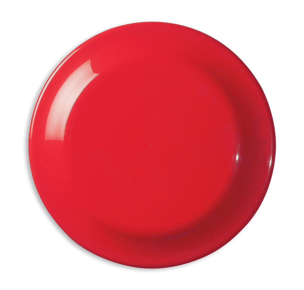 Small Fun Flying Disc-default