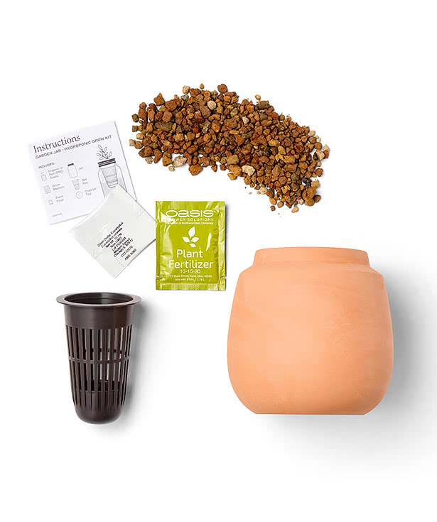 Laser Engraved Modern Sprout Modern Terracotta Cactus Grow Kit