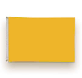 Full Color 2' x 3' Single Sided Nylon Flag - Color: Athletic Gold