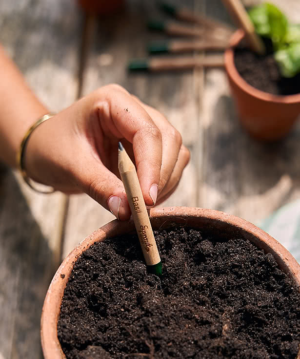 SproutWorld Plantable Wood Pencil