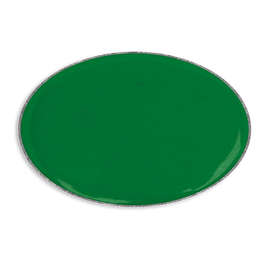 Oval Lapel Pin - Color: Kelly Green / Silver