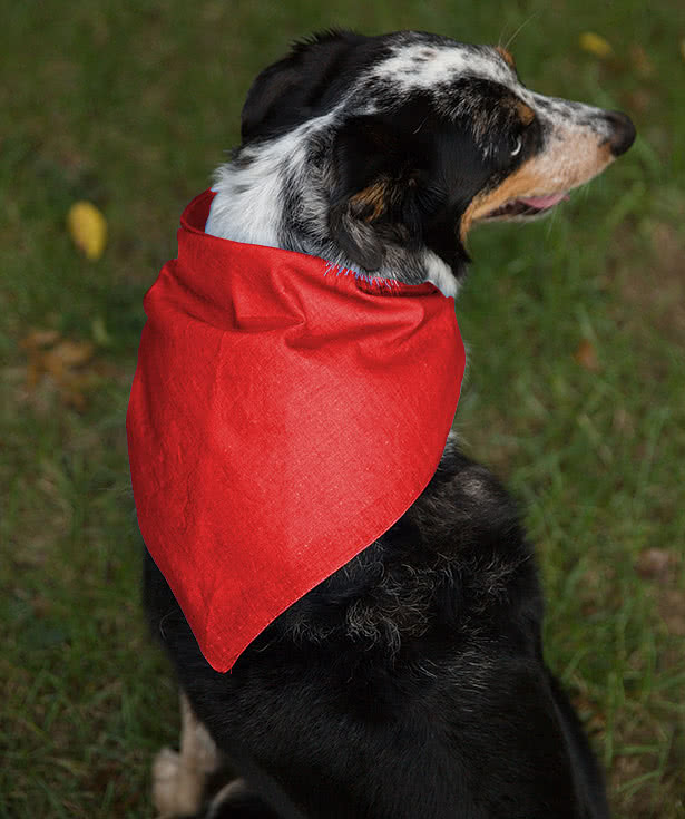 Port Authority 100% Cotton Bandana (Centered Design)