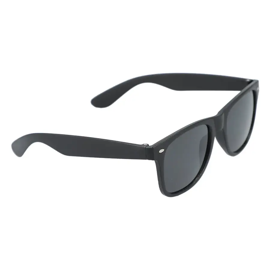 Sun Ray Recycled Sunglasses in black